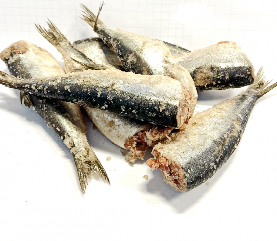Сельдь атлантическая